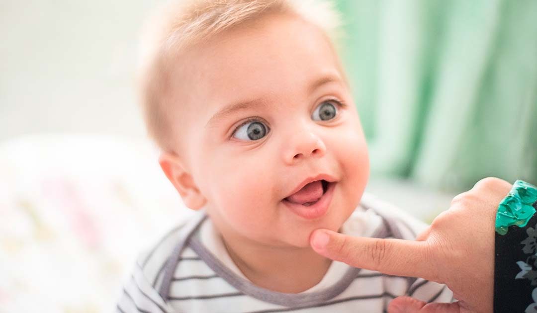 Caries en bebés: Revisiones desde el primer diente